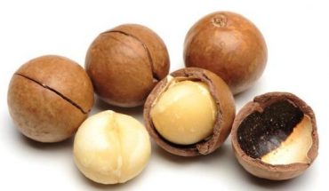 Know More About Macadamia Nuts
