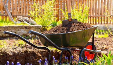 Gardening Cost UK